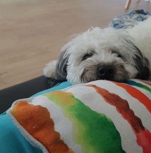 Meet your Posher, Kristina